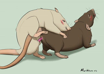 ambiguous_gender ambiguous_penetration animal_genitalia animal_penis blush cloaca duo female feral feral_on_feral feral_penetrated feral_penetrating feral_penetrating_feral from_behind_position fur genitals male male/ambiguous mounting penetration penis rodent_penis sex simple_background step_position vulva white_body white_fur mushbun mammal murid murine rat rodent