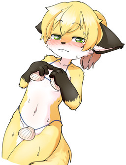 4_fingers anthro black_body black_ears black_fur black_markings black_nose blonde_hair blush blush_lines bodily_fluids breasts cheek_tuft collarbone countershade_face countershade_legs countershade_torso countershading embarrassed eyebrow_through_hair eyebrows facial_tuft female fingers front_view frown fur gloves_(marking) green_eyes green_pupils gur_tuft hair half-closed_eyes hand_on_chest iris kemono legs_together loli looking_at_viewer markings monotone_hair monotone_tail mostly_nude multicolored_body multicolored_fur narrowed_eyes navel pupils raised_eyebrows seashell shell shy simple_background small_breasts solo standing string sweat tail tears thin_eyebrows tied_hair translucent translucent_hair tuft white_background white_body white_countershading white_fur white_inner_ear yellow_body yellow_fur yellow_tail young young_anthro young_female canopus335 canid canine fox mammal 2022 colored digital_media_(artwork) hi_res portrait shaded three-quarter_portrait