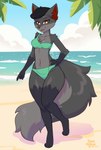 anthro beach beret bikini blue_sky clothing cloud detailed_background female hand_on_hip hat headgear headwear leaf sand sea sky solo swimwear two-piece_swimsuit water toxicmilkyx nintendo pokemon betina_(betina-anjing) generation_3_pokemon mightyena pokemon_(species) absurd_res hi_res