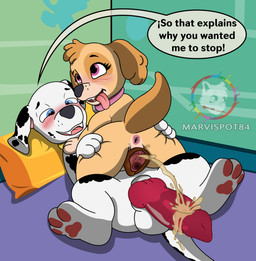 after_sex animal_genitalia animal_penis animal_vulva anus balls big_penis blue_eyes blush blush_lines bodily_fluids butt butt_grab canine_genitalia canine_penis canine_vulva collar duo female female_on_top female_peeing female_peeing_on_male feral fur genital_fluids genitals hand_on_butt knot knotted_penis looking_pleasured lying male male/female male_peed_on marking_territory markings on_back on_top paws peeing peeing_on_another peeing_on_penis penis pink_eyes presenting presenting_hindquarters presenting_vulva sitting sitting_on_another speech_bubble spots spotted_body spotted_fur tan_body tan_fur text tongue tongue_out toony urine urine_on_penis urine_stream vaginal_fluids vulva watersports wet wet_body wet_fur wet_penis white_body white_fur young young_female young_male young_on_young marvispot84 nickelodeon paw_patrol marshall_(paw_patrol) skye_(paw_patrol) canid canine canis cockapoo dalmatian domestic_dog mammal mixed_breed cel_shading english_text hi_res shaded