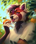 anthro black_hair blep blue_sky cheek_tuft clothed clothing facial_tuft fangs food fruit fur glistening glistening_eyes hair holding_food holding_object inner_ear_fluff looking_at_viewer male male_anthro markings mouth_closed multicolored_hair orange_(fruit) orange_markings outside plant purple_eyes purple_hair purple_inner_ear_fluff purple_tongue red_body red_fur sky solo teeth text tongue tongue_out topwear tuft two_tone_hair white_body white_clothing white_fur white_topwear marie_merkh archer_(archeremberpelt) ailurid mammal red_panda artist_name bust_portrait hi_res portrait signature