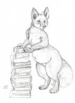 anthro belly book female overweight overweight_female semi-anthro solo standing oddwilds canid canine fox mammal hi_res monochrome