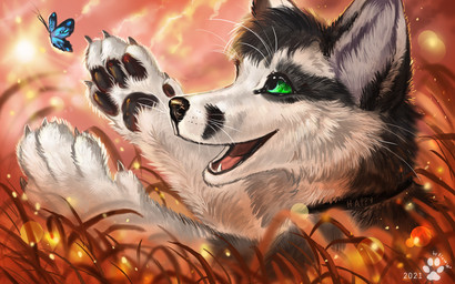 black_body black_fur day detailed_background feral fur green_eyes open_mouth outside paws sky smile sun teeth tongue whiskers white_body white_fur flashw canid canine canis domestic_dog mammal 2021 digital_media_(artwork) digital_painting_(artwork) painting_(artwork)