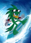 anthro barefoot beach clothing eyewear feet male solo sunglasses surfboard surfing wave foot_ninja15 sega sonic_riders sonic_the_hedgehog_(series) jet_the_hawk accipitrid accipitriform avian bird absurd_res hi_res