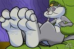 3_toes clothing countershade_feet countershading feet female foot_focus hat headgear headwear sleeping soles solo toes lazzylad animaniacs warner_brothers slappy_squirrel mammal rodent sciurid tree_squirrel