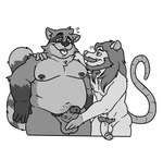 anthro balls belly big_belly duo erection facial_hair genitals humanoid_hands male male/male moobs mustache nipples open_mouth overweight overweight_male penis pubes simple_background tongue tongue_out thesintaur mammal murid murine procyonid raccoon rat rodent 2024 hi_res