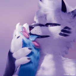 anthro black_nose blue_tongue duo feet foot_fetish foot_lick foot_play fur licking looking_at_viewer male pawpads paws simple_background solo_focus text tongue white_body white_fur yanibutspicy snowfoxyani canid canine mammal 1:1 3d_(artwork) artist_name digital_media_(artwork) hi_res