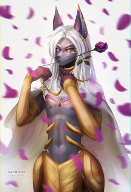 anthro armor bangle cape clothing egyptian femboy flower fur grey_body grey_fur hair jewelry male petals plant prince profanity purple_eyes rose_(flower) royalty solo text white_hair wind conditional_dnp sadbitch violet_rose canid canine canis domestic_dog mammal english_text hi_res