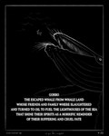anthro black_background border bumpy_skin crazy_eyes darkness duo male sea simple_background sucking text underwater upside_down water wave sharkinthepark maccaw_(sharkinthepark) avian baleen_whale bird cetacean humpback_whale mammal marine owl whale 2025 4:5 absurd_res comic greyscale hi_res monochrome