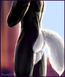 anthro athletic border butt fur male morning muscular nude purple_border realistic solo sun window dimonis canid canine canis mammal wolf 2019 hi_res watermark