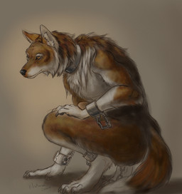 4_toes anthro barefoot bound chain chained collar cuff_(restraint) digitigrade fantasy feet male nude restrained restraints shackles slave solo submissive submissive_male toes nakase caelum_(skythe) canid canine canis coyote mammal hi_res