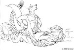 anal anthro balls cowgirl_position duo ejaculation erection from_front_position genitals grin holding_tail jewelry male male/male masturbation muscular necklace nude on_bottom on_top sex smile tail grimal gtskunkrat canid canine felid mammal pantherine tiger 2000 black_and_white monochrome