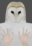 ambiguous_gender anthro black_eyes brown_body brown_feathers duo feathers first_person_view grey_body grey_feathers hand_on_chest light_body light_skin solo_focus tan_body tan_feathers white_body white_feathers obelisk398 avian barn_owl bird human mammal owl tyto tytonid absurd_res hi_res male_(lore)