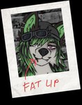 anthro black_eye_(injury) black_hair bruised female fur green_hair grey_body grey_fur hair solo glassycolors happypancakes34 sum_41 midori_(happypancakes34) hyena mammal album_cover alpha_channel cover headshot_portrait hi_res icon portrait