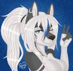 blue_eyes blue_highlights ear_piercing facial_piercing female gesture hair hand_gesture highlights_(coloring) lip_piercing long_hair piercing ponytail simple_background solo v_sign white_hair kida_howlette miss_rain kida_howlette_(character) canid canine canis mammal wolf digital_media_(artwork) headshot_portrait hi_res portrait