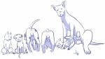 animal_genitalia anus aogami balls butt canine canine_penis cub dog erection feral knot male mammal penis presenting presenting_hindquarters young
Rating: Explicit
Score: 3
User: Pokelova
Date: March 11, 2014