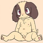 4_toes anthro anus balls blush embarrassed feet flaccid genitals male navel nipples nude pawpads penis purple_eyes sitting slightly_chubby slightly_chubby_male solo spread_legs spreading tail toes young young_anthro shomunona canid canine canis domestic_dog mammal 1:1 2018 colored low_res