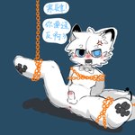 1:1 angry anthro black_paws blue_eyes bow_tie chain finkw fur genitals hi_res male penis solo stuck text translation_request whicker white_body white_fur wrapped_up