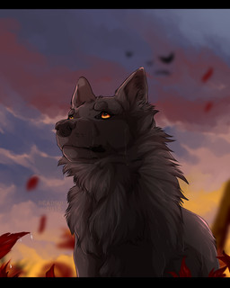 ambiguous_gender black_bars cheek_tuft cloud facial_tuft feral fur grey_body grey_fur mouth_closed neck_tuft orange_eyes outside sky solo text tuft wet wet_body wet_fur msdeadsoul raven_(raven_blackwolf) canid mammal 2018 4:5 artist_name dated letterbox
