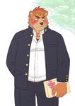 anthro blush bottomwear brown_body brown_fur clothing fur humanoid_hands kemono male overweight overweight_anthro overweight_male pants shirt solo topwear ryuta-h bear mammal 2016