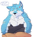 2024 :< annoyed anthro black_body black_fur black_nose blue_body blue_fur blue_text canid canine canis cel_shading chest_tuft closed_frown countershade_face countershade_fur countershade_torso countershading cross-popping_vein crossed_arms dialogue digital_media_(artwork) english_text eyebrows front_view fur half-length_portrait hi_res inner_ear_fluff male mammal multicolored_body multicolored_fur muscular muscular_anthro muscular_male pecs portrait shaded signature simple_background snout solo speech_bubble tangkookie text three-quarter_portrait tuft white_background white_body white_countershading white_fur wolf