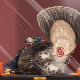 against_surface ambiguous_gender animal_genitalia brown_body brown_feathers butt cloaca feathers feral genitals glass on_glass presenting presenting_cloaca presenting_hindquarters solo pornithologist clanga accipitrid accipitriform aquilinae avian bird eagle spotted_eagle 1:1 2025 hi_res