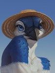 anthro beak blue_body blue_eyes blue_feathers clothed clothing dress eyelashes feathers female jewelry necklace realistic_anatomy realistic_lighting realistic_shading sky solo ariesredlo avian bird blue_jay corvid jay_(bird) new_world_jay oscine passerine 3:4 bust_portrait detailed hi_res portrait