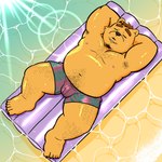 anthro armpit_hair belly black_nose body_hair bottomwear bulge clothing eyes_closed kemono lying male navel outside overweight overweight_male shorts solo swimwear water ch_ia_ki bear mammal 1:1 2022 absurd_res hi_res