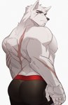 anthro back_muscles back_scar briefs butt clothing facial_hair fur looking_at_viewer male manly muscular muscular_anthro muscular_male nipples pecs rear_view scar simple_background solo underwear white_background white_body white_fur hachi_duchi canid canine canis mammal hi_res