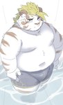 anthro belly big_belly blush bottomwear clothing kemono male moobs navel nipples overweight overweight_male shorts solo swimwear white_body ptcmtr lifewonders tokyo_afterschool_summoners licho_(tas) felid mammal pantherine tiger 2024 absurd_res hi_res