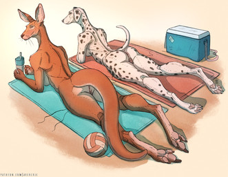 3_toes 4_toes 5_fingers animal_genitalia animal_vulva anthro anus athletic athletic_anthro athletic_female ball beach bottle breasts brown_body brown_fur canine_genitalia canine_vulva container cooler cup duo feet female fingers floppy_ears fur genitals looking_at_viewer looking_back looking_back_at_viewer lying nude nude_anthro nude_female on_elbow on_front on_towel pawpads pointy_ears prick_ears raised_tail sand spots sunbathing tail text toes towel volleyball_(ball) vulva water_bottle whiskers white_body white_fur arcr-cric canid canine canis dalmatian domestic_dog kangaroo macropod mammal marsupial 2025 digital_media_(artwork) hi_res signature url