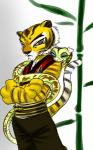 anthro feline female kung_fu_panda master_tigress master_viper one_eye_closed tiger whiskers wink
Rating: Safe
Score: 5
User: Foreman
Date: December 21, 2013