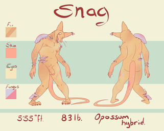 anthro cheek_tuft empty_eyes facial_tuft flaccid foreskin front_view fungus genitals humanoid_genitalia humanoid_penis male male_anthro neck_tuft nipples nude open_mouth penis pink_nipples rear_view simple_background solo standing tan_penis tang text tuft white_eyes chocolateandmilk snag_(lostpander) american_opossum elemental_creature fungi_fauna hybrid mammal marsupial undead zombie english_text hi_res model_sheet