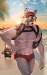 abs anthro beach black_ear_tips black_nose blurred_background bulge claws clothed clothing cloud dipstick_ears duo ear_markings eye_patch eyewear eyewear_on_head finger_claws fur goggles goggles_on_head harness looking_at_viewer male multicolored_ears muscular muscular_anthro muscular_male navel neck_tuft nipples open_clothing open_topwear palm_tree pecs plant pubes red_clothing red_eyes red_nipples red_speedo red_swimwear red_underwear solo_focus speedo sun swimwear topwear tree tuft underwear vein veiny_muscles water white_body white_ears white_fur white_pubes axiang_cai mihoyo zenless_zone_zero butlerboo von_lycaon bangboo canid canine canis mammal wolf hi_res