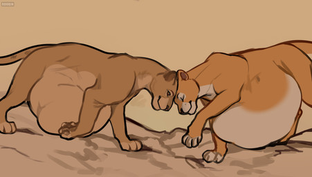 after_vore belly big_belly brown_eyes brown_pawpads closed_smile duo eyes_closed female feral fur huge_belly mouth_closed multiple_pred orange_body orange_fur orange_sclera pawpads side_view simple_background smile tan_background tan_body tan_fur vore white_body white_fur roobin disney the_lion_king nala_(the_lion_king) sarabi_(the_lion_king) felid lion mammal pantherine hi_res