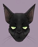 ambiguous_gender anthro black_body black_fur black_nose fur green_eyes half-closed_eyes light looking_at_viewer mouth_closed narrowed_eyes notched_ear pupils purple_background simple_background slit_pupils solo whisker_spots whiskers beastofeuthanasia cossy_(ironwulf83) domestic_cat felid feline felis mammal 2022 colored digital_drawing_(artwork) digital_media_(artwork) english_description headshot_portrait lighting portrait shaded