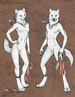anatomically_correct anatomically_correct_genitalia anatomically_correct_vulva animal_genitalia animal_vulva anthro athletic athletic_anthro athletic_female biped bottomwear breasts canine_genitalia canine_vulva clothing comparison female genitals loincloth multi_nipple nipples nude solo standing tail tribal vulva toots keershang canid canine canis mammal wolf model_sheet