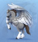 brown_eyes brown_hair butt feral grey_body hair hooves looking_at_viewer male markings military_hat on_hind_legs rear_view solo white_markings wings jenery mythology dallas_prairiewind equid equine mammal mythological_creature mythological_equine pegasus absurd_res hi_res