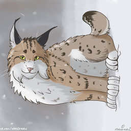 belly dark_spots day detailed_background feral flexible fluffy fur green_eyes grey_body grey_fur looking_at_viewer male outside paws short_tail snow solo tail text white_belly xleb0rezka felid feline lynx mammal hi_res url