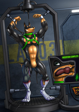 ankles_tied anthro athletic athletic_anthro athletic_male bdsm black_latex bondage bound collar front_view fur green_collar green_eyes green_harness grey_body grey_fur hands_tied harness internal latex latex_transformation liquid_latex male male_anthro markings open_mouth orange_latex red_markings scientific_experiment solo standing transformation white_body white_fur hufnaar canid canine mammal 2020 absurd_res dated full-length_portrait hi_res portrait
