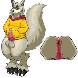 anthro anus balls big_balls big_penis clothed clothing fluffy fluffy_tail genitals hoodie male pantsless penis puffy_anus standing tail topwear yellow_clothing yellow_hoodie yellow_topwear bigdavy izen_(izen_puppyfox) furroi 1:1 hi_res
