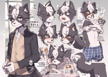 adolescent anthro asian_clothing black_body black_fur blush blush_lines bodily_fluids boxers_(clothing) butt cellphone clothing collared_shirt east_asian_clothing electronics embarrassed fluffy fluffy_tail fur jacket japanese_clothing japanese_school_uniform kemono looking_at_viewer male phone pointy_ears school_uniform shirt smartphone sweat sweatdrop tail tears text topwear underwear undressing uniform white_body white_fur young young_anthro young_male steelwire border_collie canid canine canis collie domestic_dog herding_dog human mammal pastoral_dog sheepdog alternate_version_at_source hi_res japanese_text translation_request