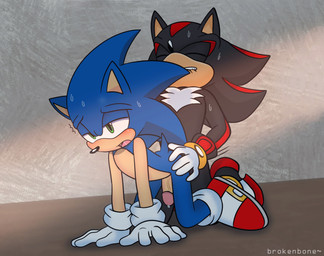 5_fingers anthro anthro_on_anthro anthro_penetrated anthro_penetrating anthro_penetrating_anthro bite biting_lip biting_own_lip black_body black_fur black_nose blue_body blue_fur blush bodily_fluids clothing doggystyle erection eyes_closed fingers fluffy fluffy_chest footwear from_behind_position fur genital_fluids genitals glans gloves green_eyes handwear humanoid_genitalia humanoid_penis intraspecies looking_pleasured male male/male male_penetrated male_penetrating male_penetrating_male mostly_nude penetration penis pink_glans precum pupils red_body red_clothing red_footwear red_fur red_shoes self_bite sex shaking shoes sweat tan_body tan_fur tan_inner_ear tan_penis thrusting trembling white_body white_clothing white_footwear white_fur white_gloves white_handwear white_shoes brokenbone sega sonic_the_hedgehog_(series) shadow_the_hedgehog sonic_the_hedgehog eulipotyphlan hedgehog mammal 2025 hi_res