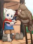 anthro barefoot beak book bottomwear cape clothing eyes_closed feet feral front_view group left-handed male outside rear_view shorts sleeping standing tree_house writing_text yojoo avian bird domestic_cat felid feline felis mammal owl digital_media_(artwork)