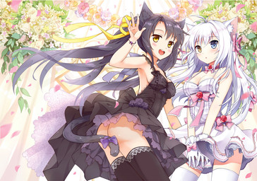 accessory alternative_fashion bare_shoulders black_clothing black_hair black_legwear blue_eyes bottomless bottomwear bow_(feature) bow_accessory bow_ribbon butt cat_tail choker clothed clothing dress duo female furgonomics gloves hair hair_accessory hair_bow hair_ribbon handwear heterochromia jewelry legwear long_hair necklace petals pigtails ribbons skirt tail tail_accessory tail_bow tail_ribbon thigh_highs upskirt white_clothing white_gloves white_hair white_handwear white_legwear yellow_eyes mauve_(artist) animal_humanoid cat_humanoid felid felid_humanoid feline feline_humanoid humanoid mammal mammal_humanoid
