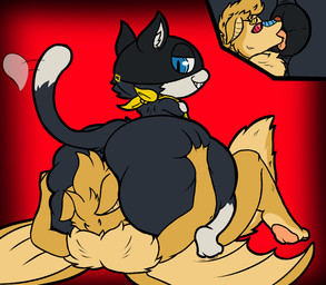 anal anthro anus big_butt black_body black_fur blue_eyes bubble_butt butt butt_grab butt_squish deep_skin duo facesitting fur hand_on_butt huge_butt kerchief licking looking_at_anus looking_back looking_pleasured male male/male markings mask nose_to_anus oral raised_tail rimming sex sitting sitting_on_another skindentation smug smug_face smug_grin squish stinkface tail tail_markings tail_motion tailwag teeth thick_thighs tongue tongue_out white_body white_fur yellow_kerchief chappystick atlus megami_tensei persona_(series) persona_5 sega morgana_(persona) bat domestic_cat felid feline felis mammal tuxedo_cat hi_res