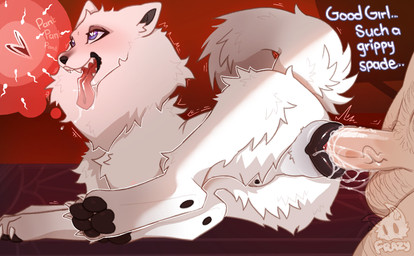 ahegao animal_genitalia animal_vulva balls bestiality bestiality_impregnation black_vulva bodily_fluids body_hair breath canine_genitalia canine_vulva claws cum cum_in_vagina cum_inside cum_on_penis cum_string curled_tail dialogue drooling duo erection faceless_character faceless_human faceless_male female female_feral female_focus female_penetrated feral feral_focus feral_penetrated fluffy fluffy_tail fur genital_fluids genitals glistening glistening_genitalia glistening_penis glistening_vulva good_girl heart_eyes heart_symbol human_on_feral human_penetrating human_penetrating_feral humanoid_genitalia humanoid_penis impregnation interspecies interspecies_impregnation looking_pleasured lying male male/female male_on_feral male_penetrating male_penetrating_female mostly_offscreen_character motion_lines neck_tuft nipples on_front on_ground on_side onomatopoeia orifice_tugging ovum ovum_with_heart panting pawpads paws penetration penile penile_penetration penis penis_in_vagina plump_labia praise quadruped saliva sex sharp_teeth solo_focus sound_effects sperm_cell tail teats teeth text tongue tongue_out tuft vaginal vaginal_fluids vaginal_penetration vaginal_tugging vein veiny_penis vulva white_body white_fur frazy canid canine canis domestic_dog human mammal nordic_sled_dog samoyed spitz english_text hi_res