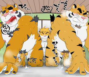 age_difference all_fours anthro anthro_on_anthro barazoku belly blush bodily_fluids cum ejaculation eyes_closed facial_hair genital_fluids genitals group handjob kemono larger_but_small male male/male mature_male micropenis moobs musk nipples older_male open_mouth overweight overweight_male parent_incest penile penis pink_nose sex small_penis trio younger_male shibatanukiti felid mammal pantherine tiger 2025 censored hi_res brother_(lore) brothers_(lore) father_(lore) father_and_child_(lore) father_and_son_(lore) incest_(lore) parent_(lore) parent_and_child_(lore) parent_and_son_(lore) sibling_(lore) son_(lore)
