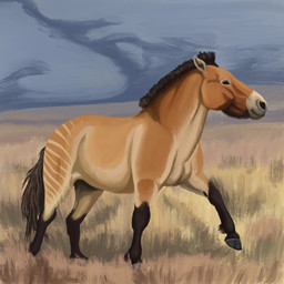 black_eyes brown_legs brown_socks_(marking) feral field fur grass leg_markings markings nature outside plant socks_(marking) solo stripes tan_body tan_fur agustindiazart haringtonhippus 1:1 2022 hi_res painting_(artwork)