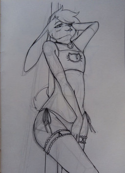 accessory anthro bedroom_eyes bell bell_collar belly blush clothing collar dancing femboy garter leg_garter looking_at_viewer male narrowed_eyes pole pole_dancing seductive solo stripper stripper_pole thong underwear alonsocas15 silby_(silbyaws) lagomorph leporid mammal rabbit hi_res sketch